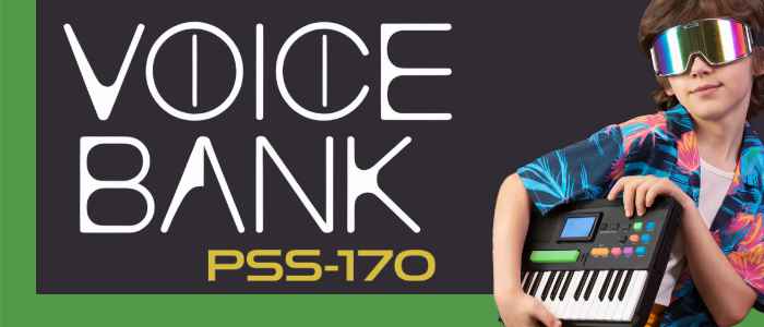 Voice Bank PSS-170 Banner