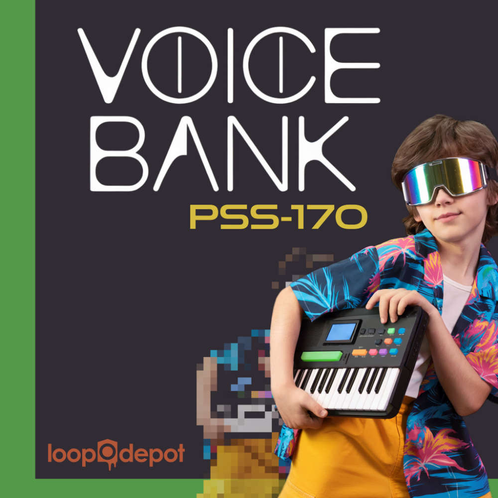 Voice Bank PSS-170